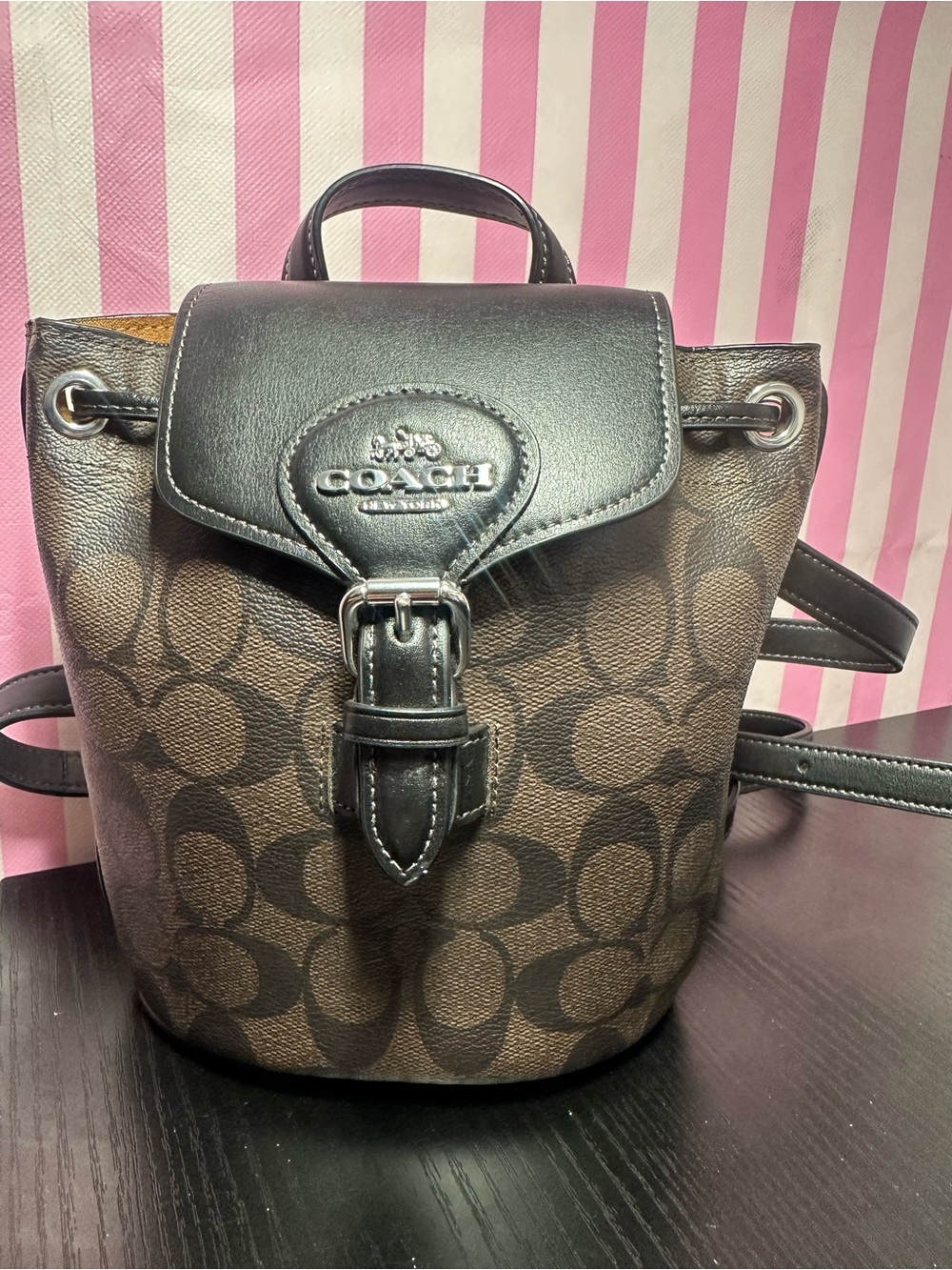 Coach Brown Small Signature Canvas Drawstring Backpack